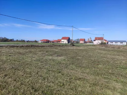 Drenjanski Put | 4zida.rs