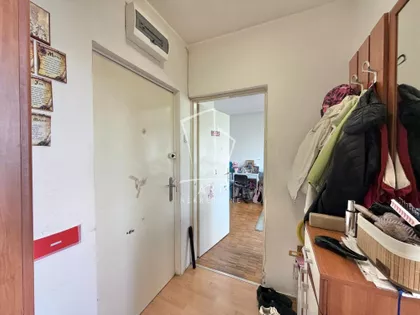 Ljuba Vučkovića | 4zida.rs