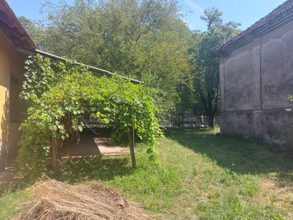 Čeda Milosavljevića 42 | 4zida.rs