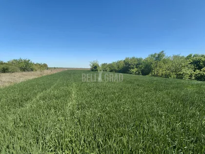 Potes Donje deteline | 4zida.rs