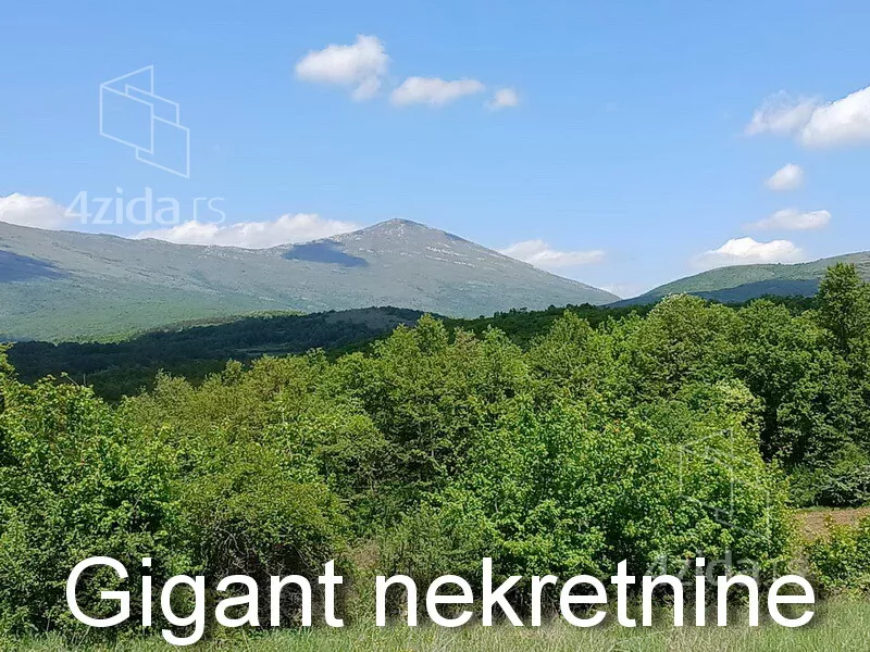 Plac | 4zida