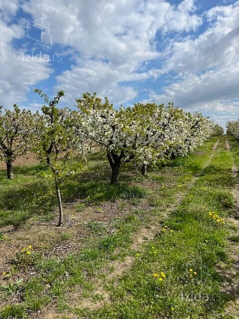 Poljoprivredno zemljište | 4zida
