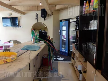 ZELENI VENAC | 4zida.rs