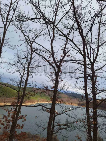 Zavojsko Jezero | 4zida.rs