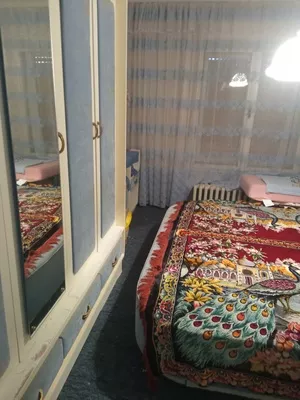 Opština Sečanj, Šurjan | 4zida.rs