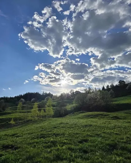 Cara Dušana 51 | 4zida.rs