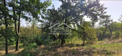 Ljubomira Živkovića Španca | 4zida.rs