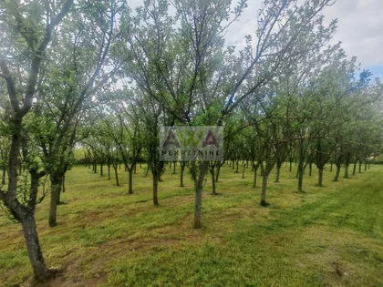 Sivac | 4zida.rs