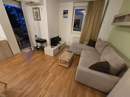 Gospodara Vučića | 4zida.rs