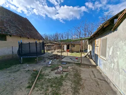 Srpski Šor | 4zida.rs