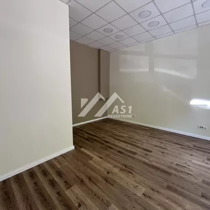 Dr Svetislava Kasapinovića | 4zida.rs