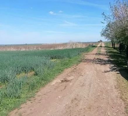 Poljoprivredno zemljište | 4zida