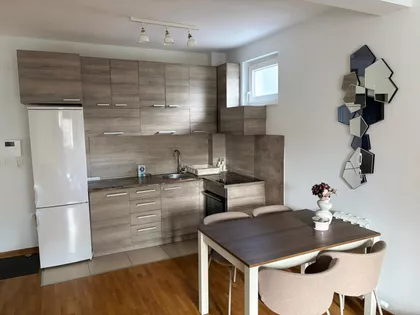 Lekino Brdo | 4zida.rs