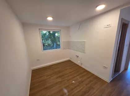 Mikice Lesjaka 50 | 4zida.rs