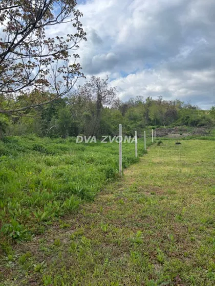 Čortanovci | 4zida.rs