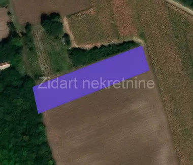 Novi Slankamen