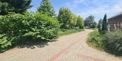 VINOGRADSKA | 4zida.rs