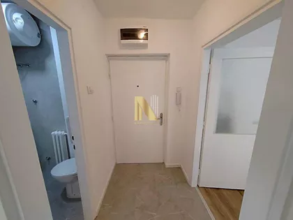 Detelinara | 4zida.rs