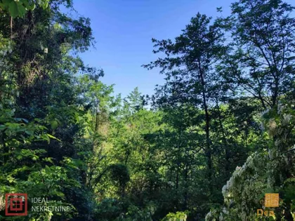 Grajska Gora | 4zida.rs