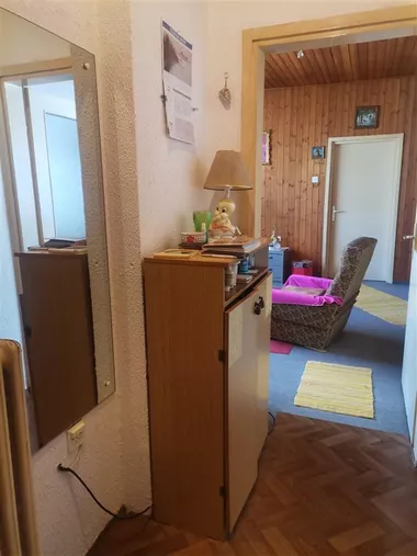 Radijalac