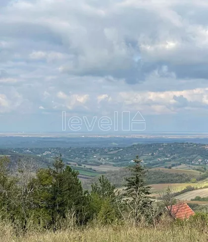 Alibegovac | 4zida.rs