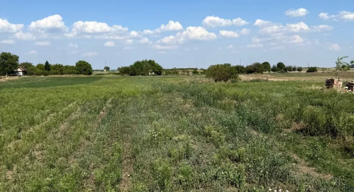 Poljoprivredno zemljište | 4zida