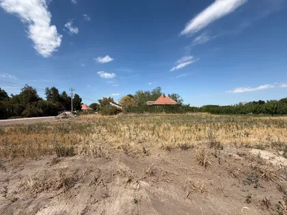 Palić | 4zida.rs