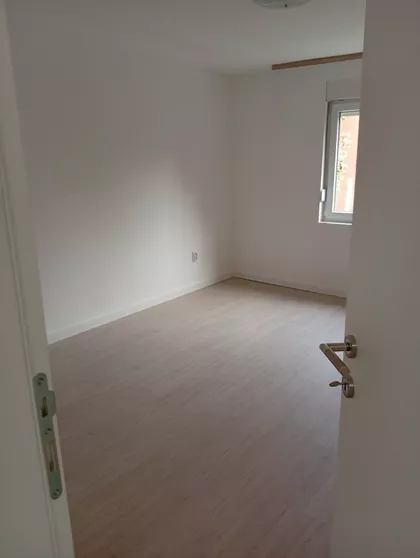 Mitrovana Živkovića - Dikice | 4zida.rs