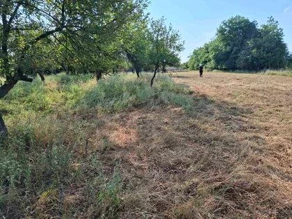 Prvomajska 7 | 4zida.rs
