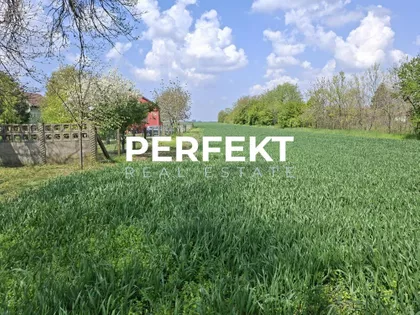 Novoseljanski put | 4zida.rs