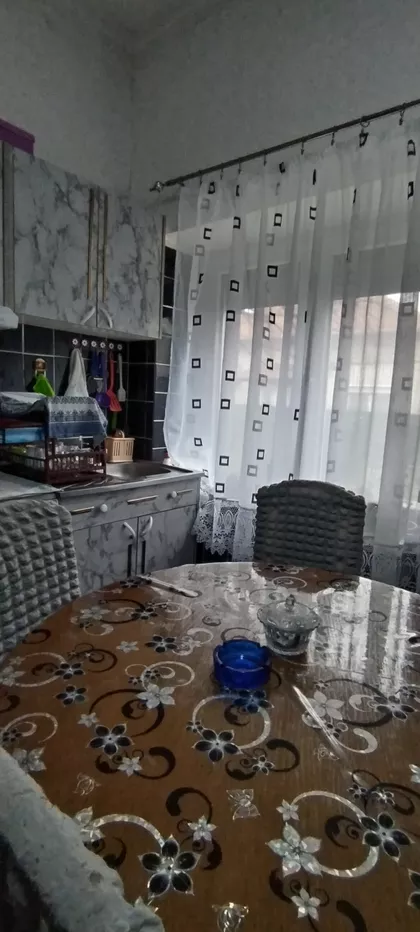 Timočke Bune | 4zida.rs