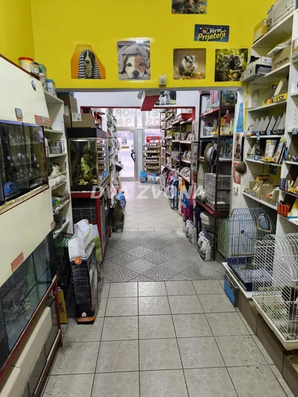 Nova Detelinara | 4zida.rs