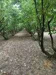 Plac | 4zida