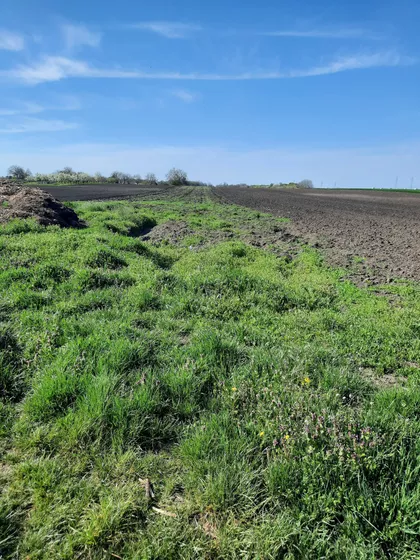 Gradske lokacije | 4zida.rs