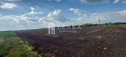 Šimanovci | 4zida.rs