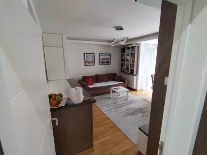 RADOJA DOMANOVICA | 4zida.rs