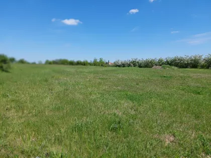 Ljube Stanisavljevića | 4zida.rs