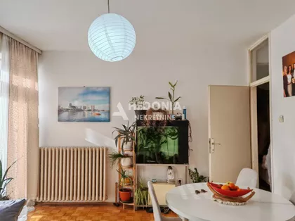 Bele Bartoka | 4zida.rs