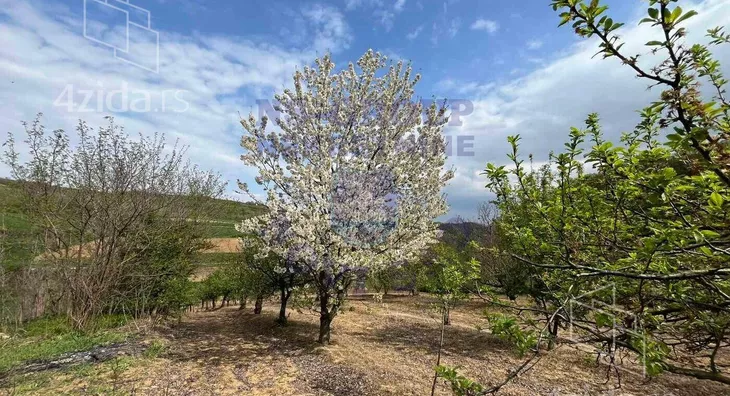 Poljoprivredno zemljište | 4zida