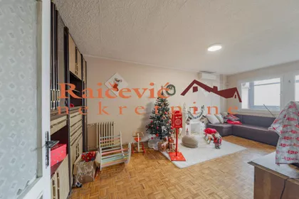 Dr Ivana Ribara | 4zida.rs