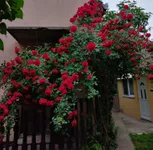 Subotica, Gradske lokacije, Centar 1 | 4zida.rs | 4zida.rs