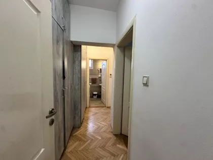 Salajka | 4zida.rs