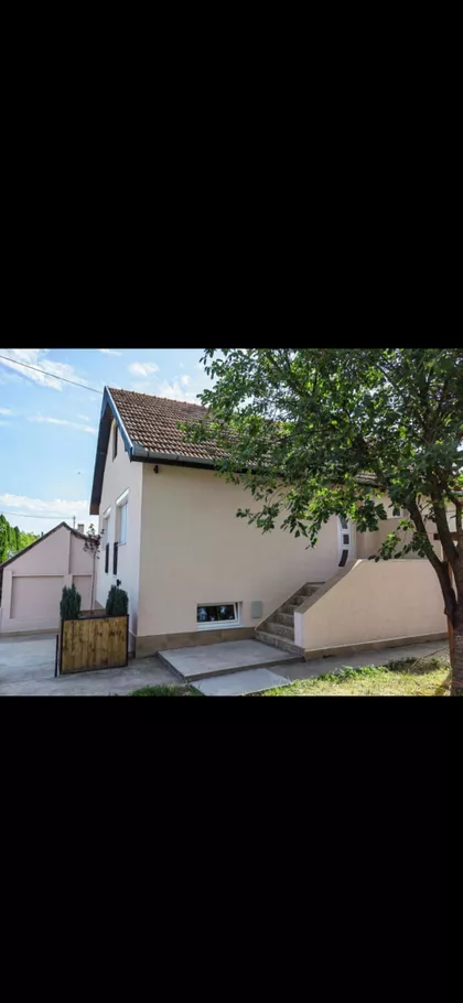 Pačir | 4zida.rs
