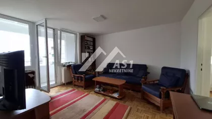 Bulevar despota Stefana, pet friendly | 4zida.rs