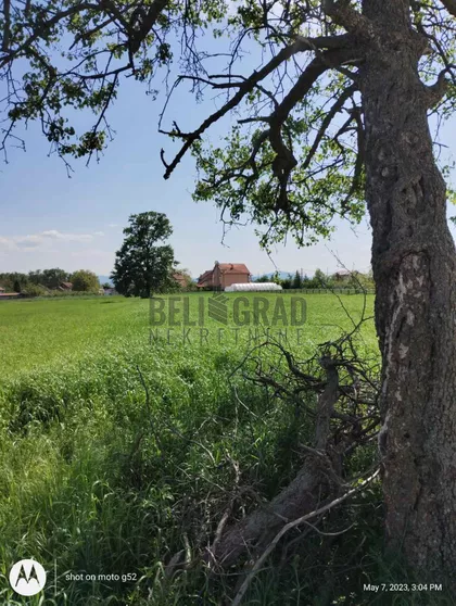 Kragujevačka | 4zida.rs