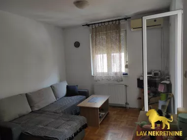 DR SVETISLAVA KASAPINOVIĆA
