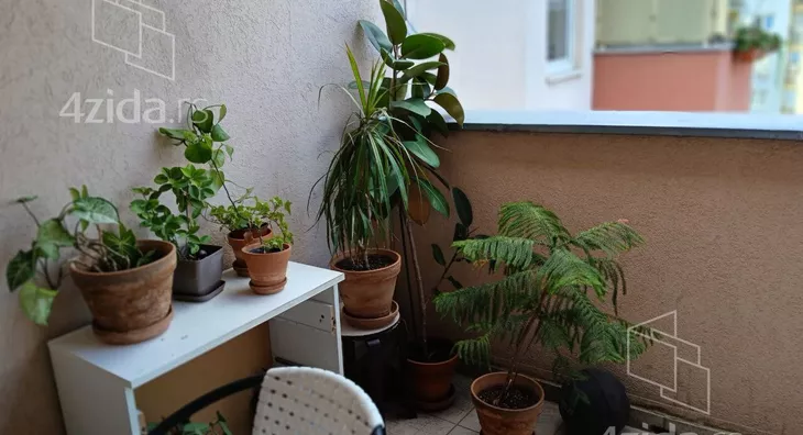 Petosoban stan | 4zida