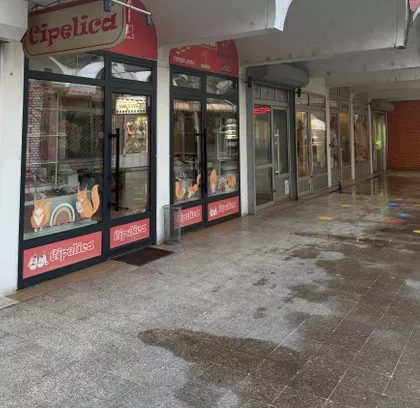 Vidovdanska 45 | 4zida.rs