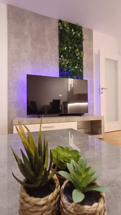 Generala Černjajeva 11 | 4zida.rs