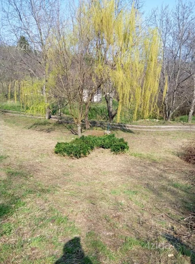 Plac | 4zida